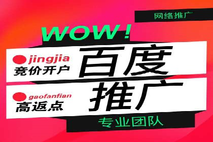 行业领先企业的信息流推广策略与效果分析